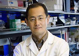 SF Scientist Shinya Yamanaka shares Nobel medicine prize